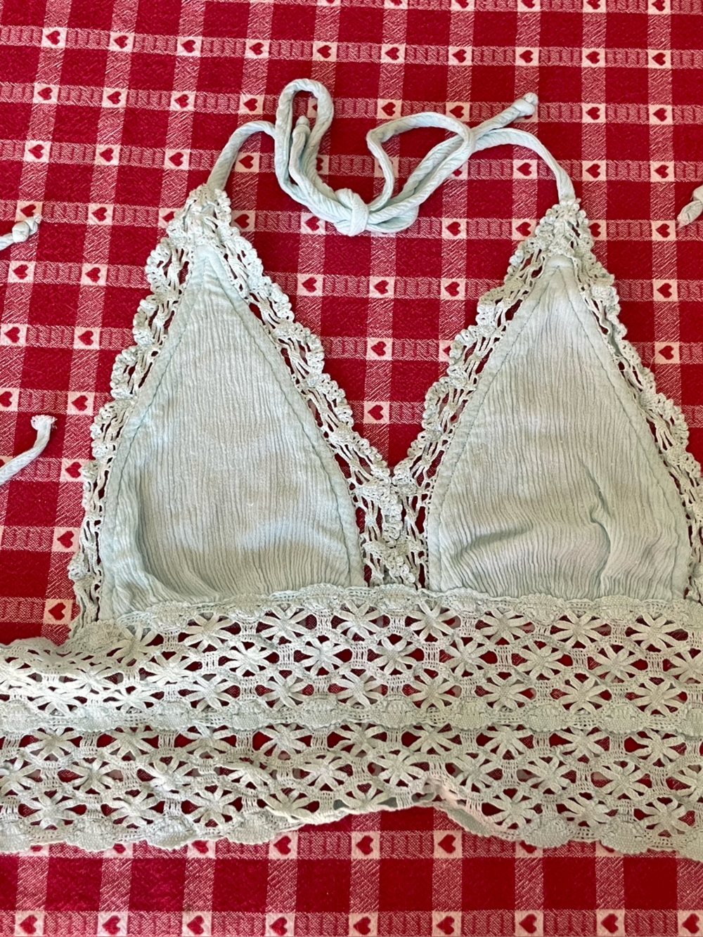 Cotton Candy LA.  Pale blue lacy bralette top with floral embroidery Size S